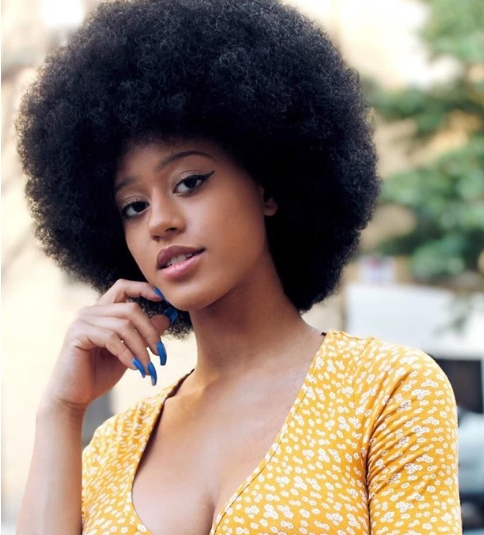 70s Afro Kinky Curly Short Jumbo Synthetic Daily Wig