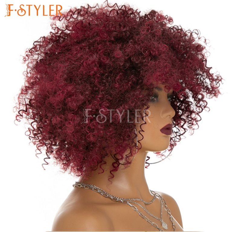 Afro Kinky Curly Short Fluffy Synthetic Daily Wig