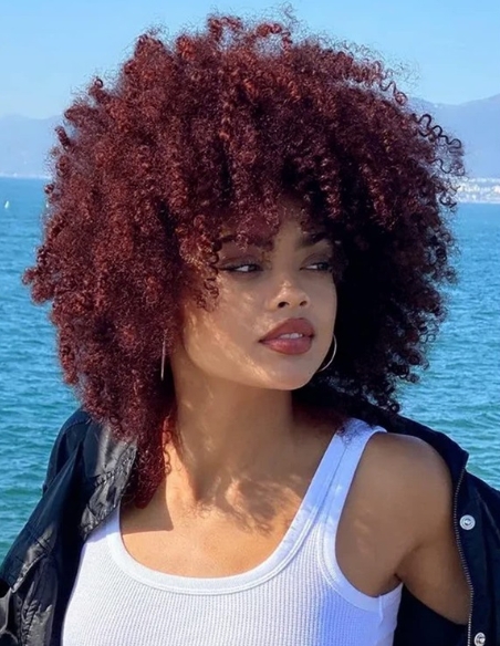 Red Afro Kinky Curly Short Fluffy Synthetic Daily Wig